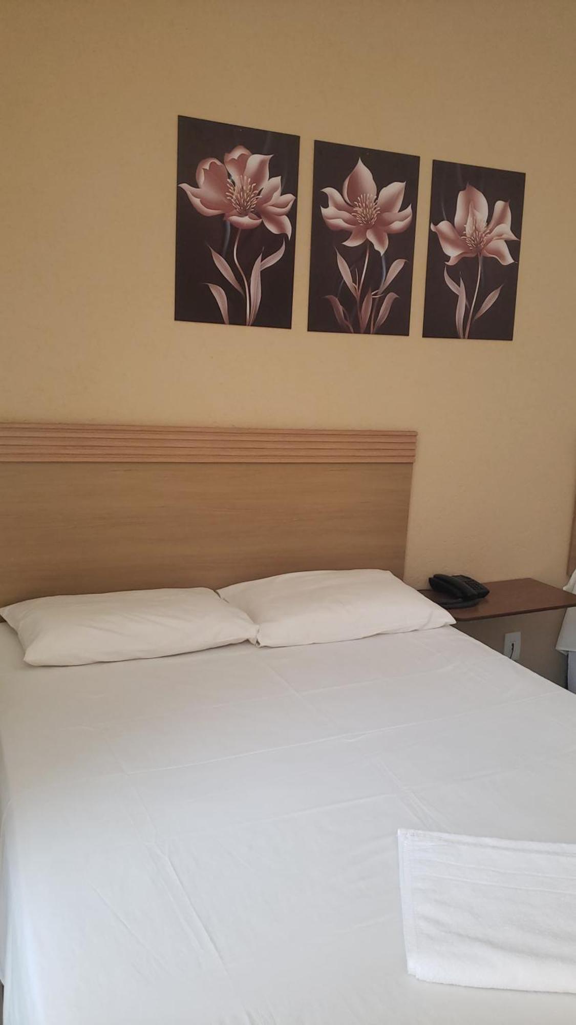 Hotel Flamboia Araraquara Exterior foto