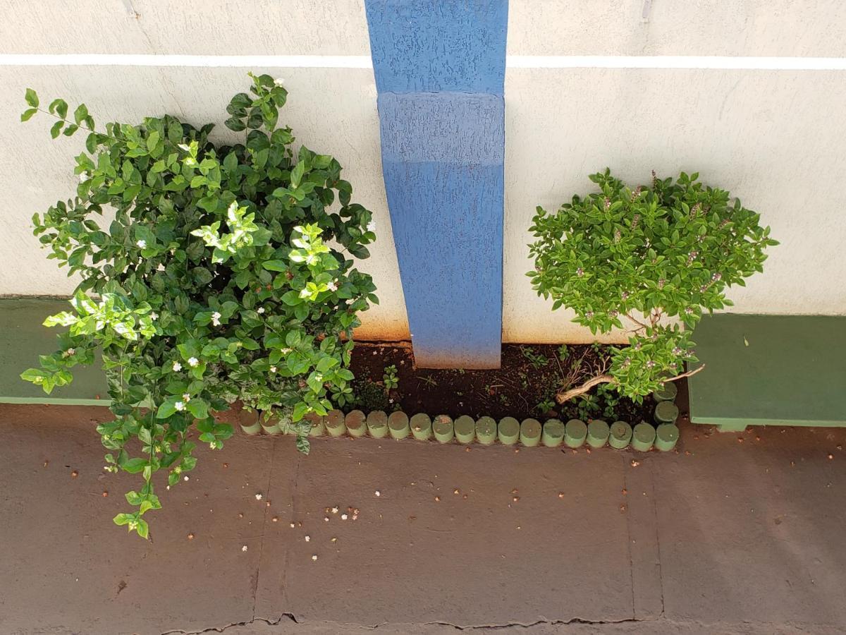 Hotel Flamboia Araraquara Exterior foto